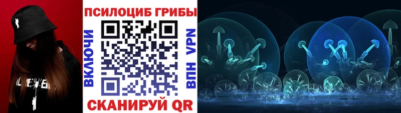 Псилоцибиновые грибы Magic Shrooms  сколько стоит  MEGA ссылка  Видное 